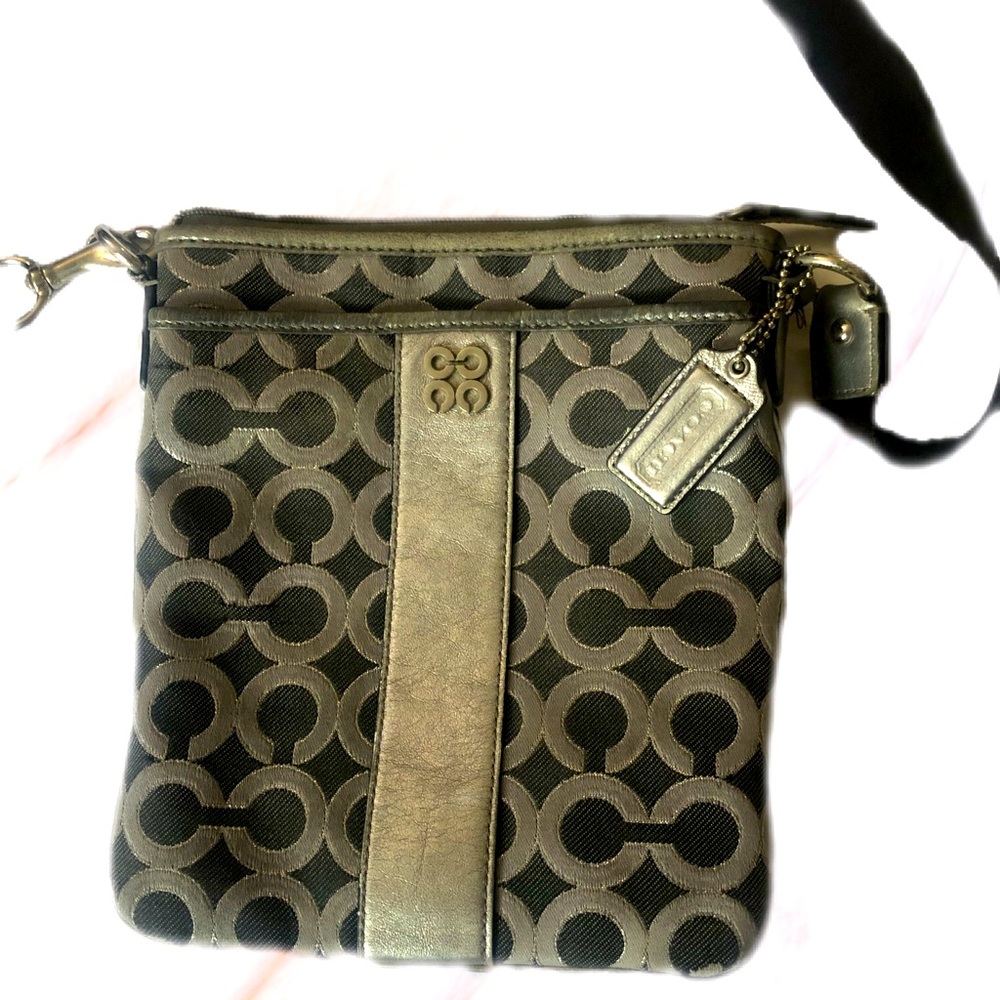 Gray Coach cross handbag.